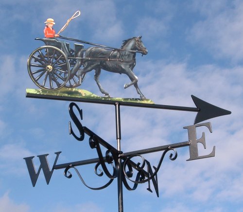 Lady Driver Black Horse Artist Painted