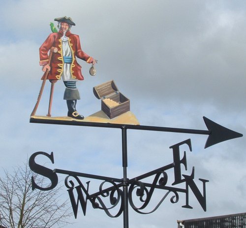 Pirate Artist Painted