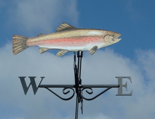 Rainbow Trout Artist Painted