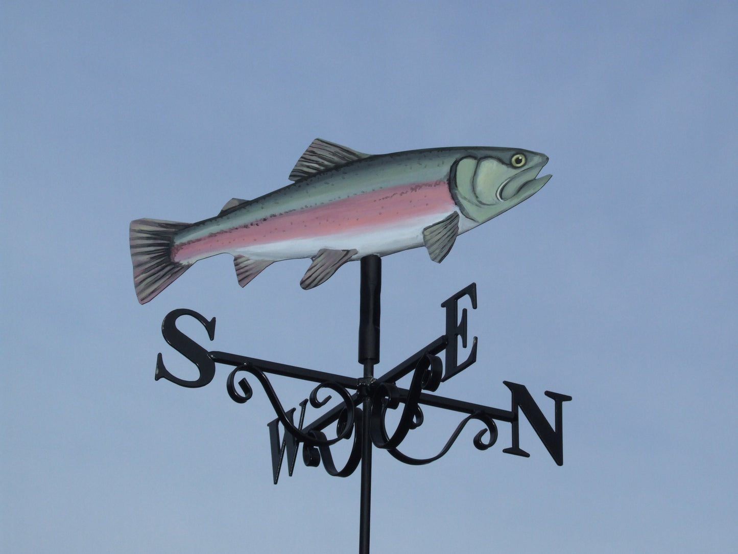 Rainbow Trout Artist Painted