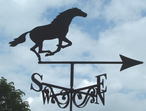 Running Horse Galloping