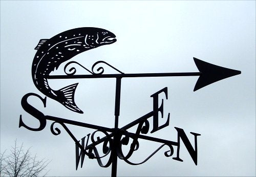 Fishing Salmon