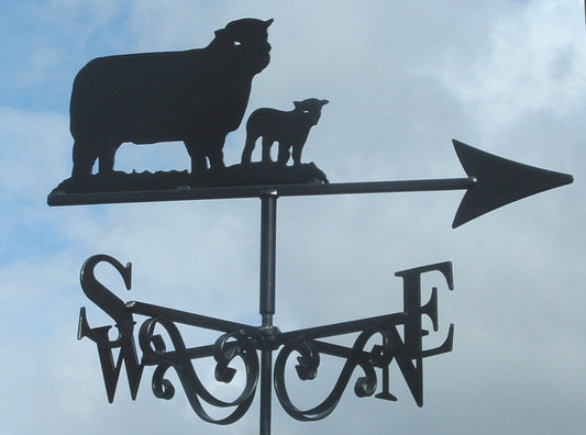 Ryeland Sheep & Lamb