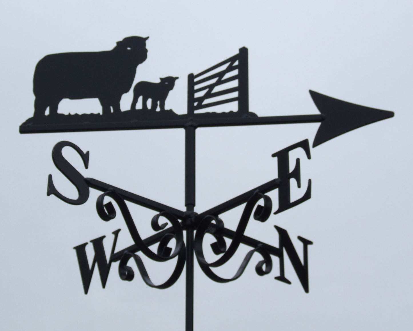 Sheep & Gate
