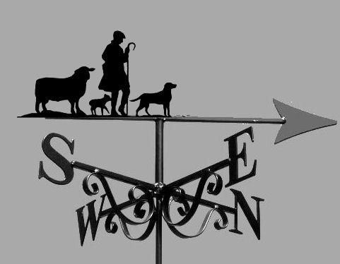 Shepherd Suffolk Sheep & Labrador Dog