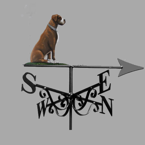 Boxer Sitting Artist Painted