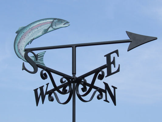 Fishing Salmon Artist Painted