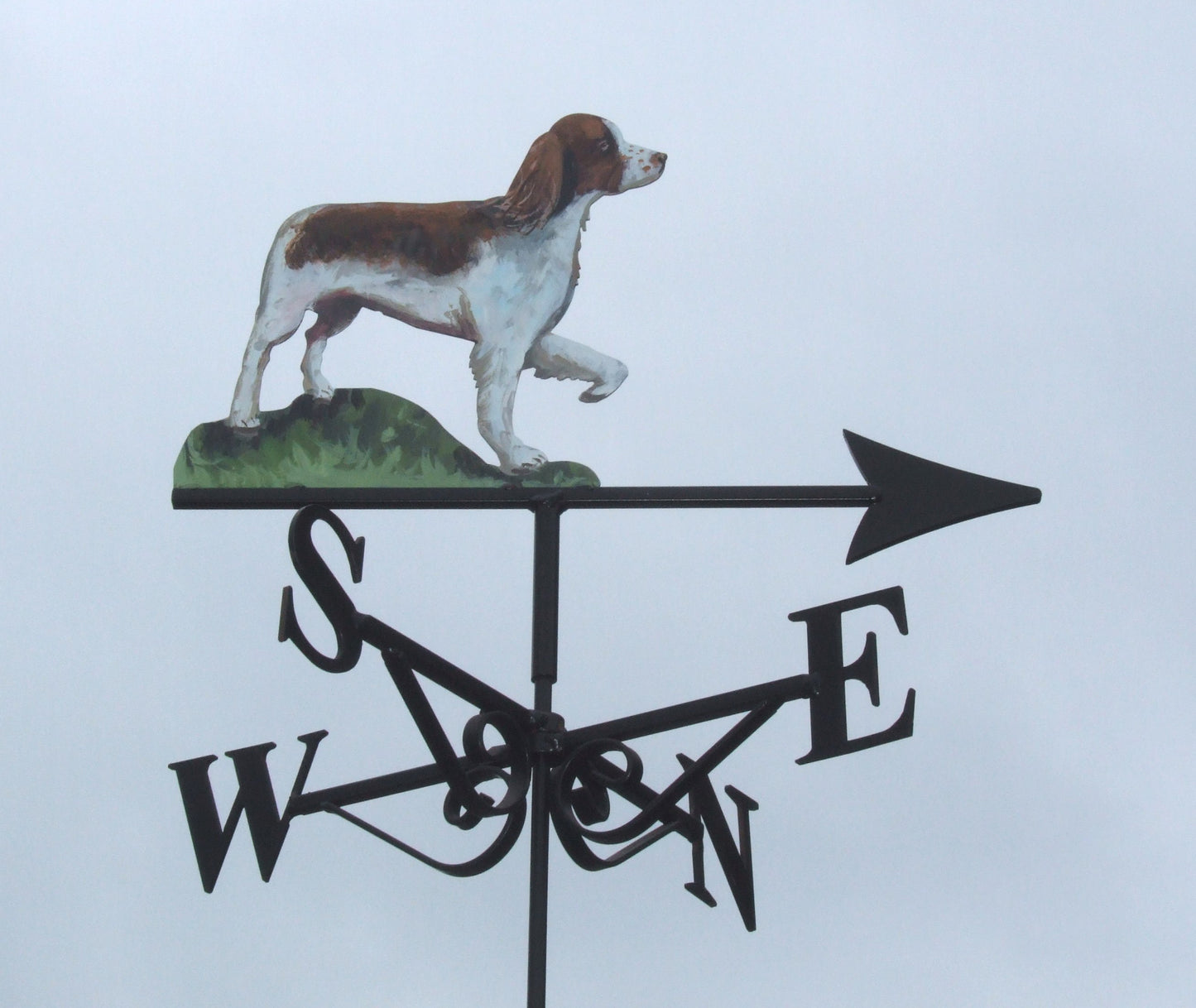 Springer Paw Up Artist Painted