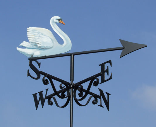 Swan Artist Painted