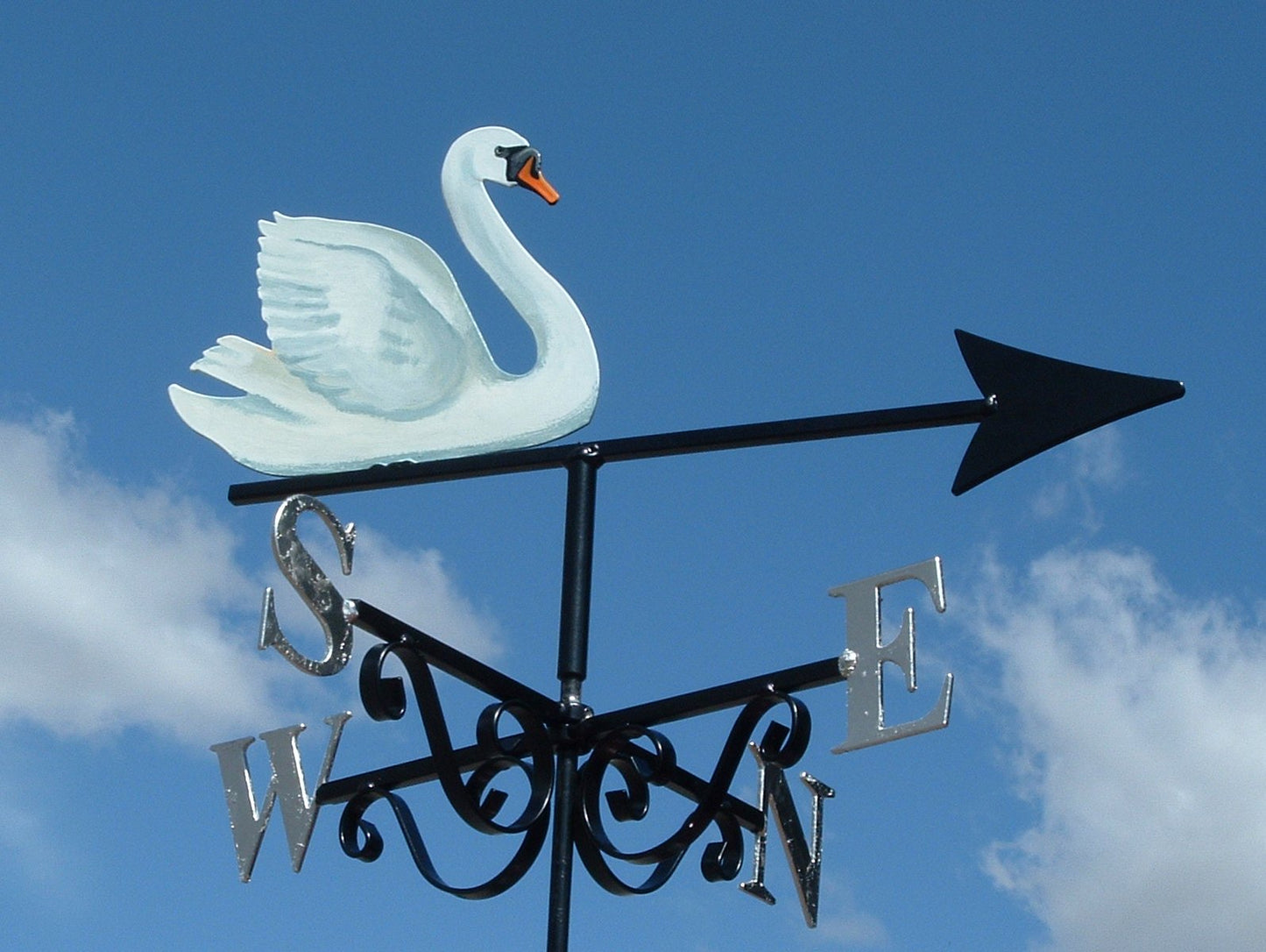 Swan Artist Painted