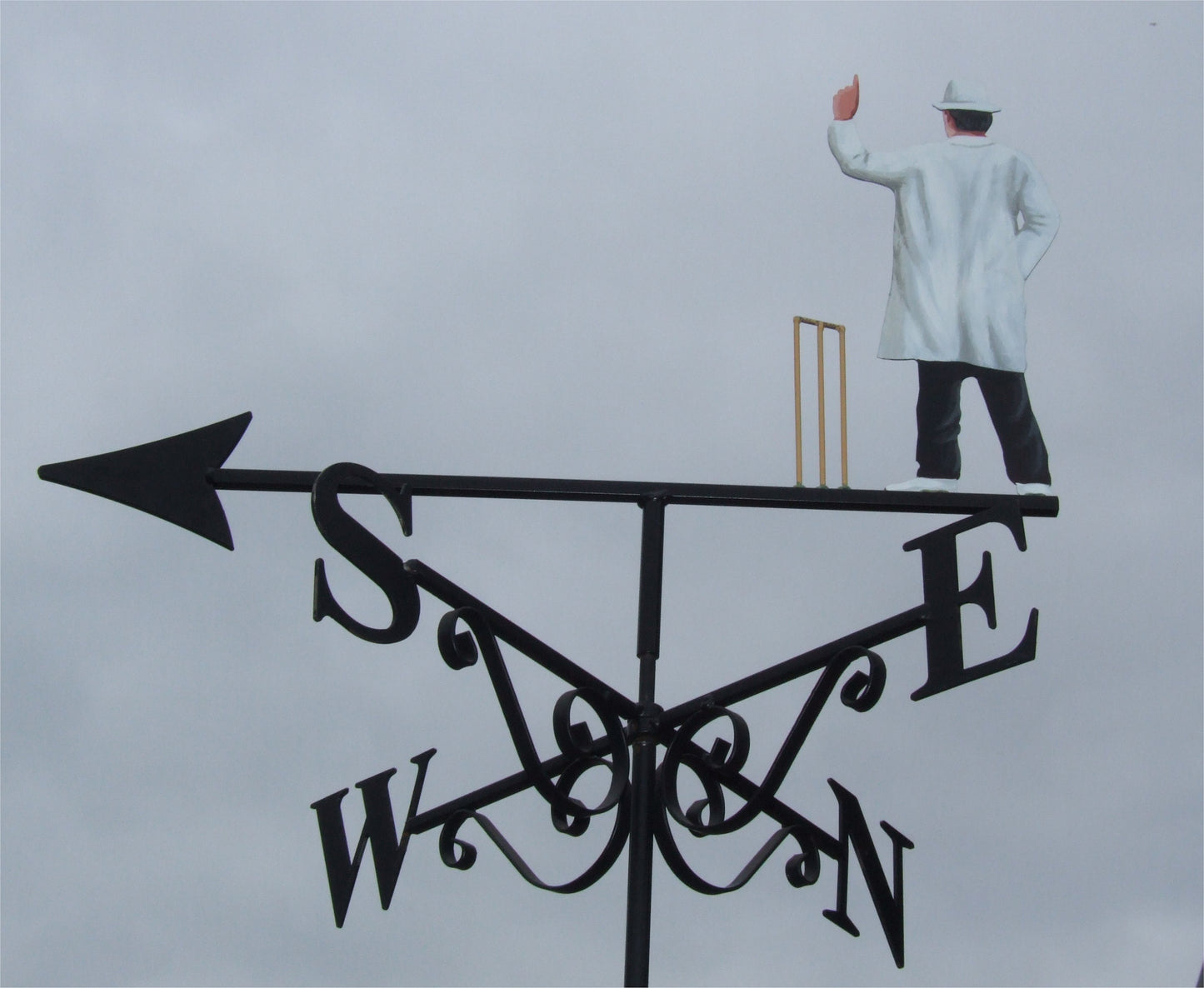 Cricket Umpire Artist Painted