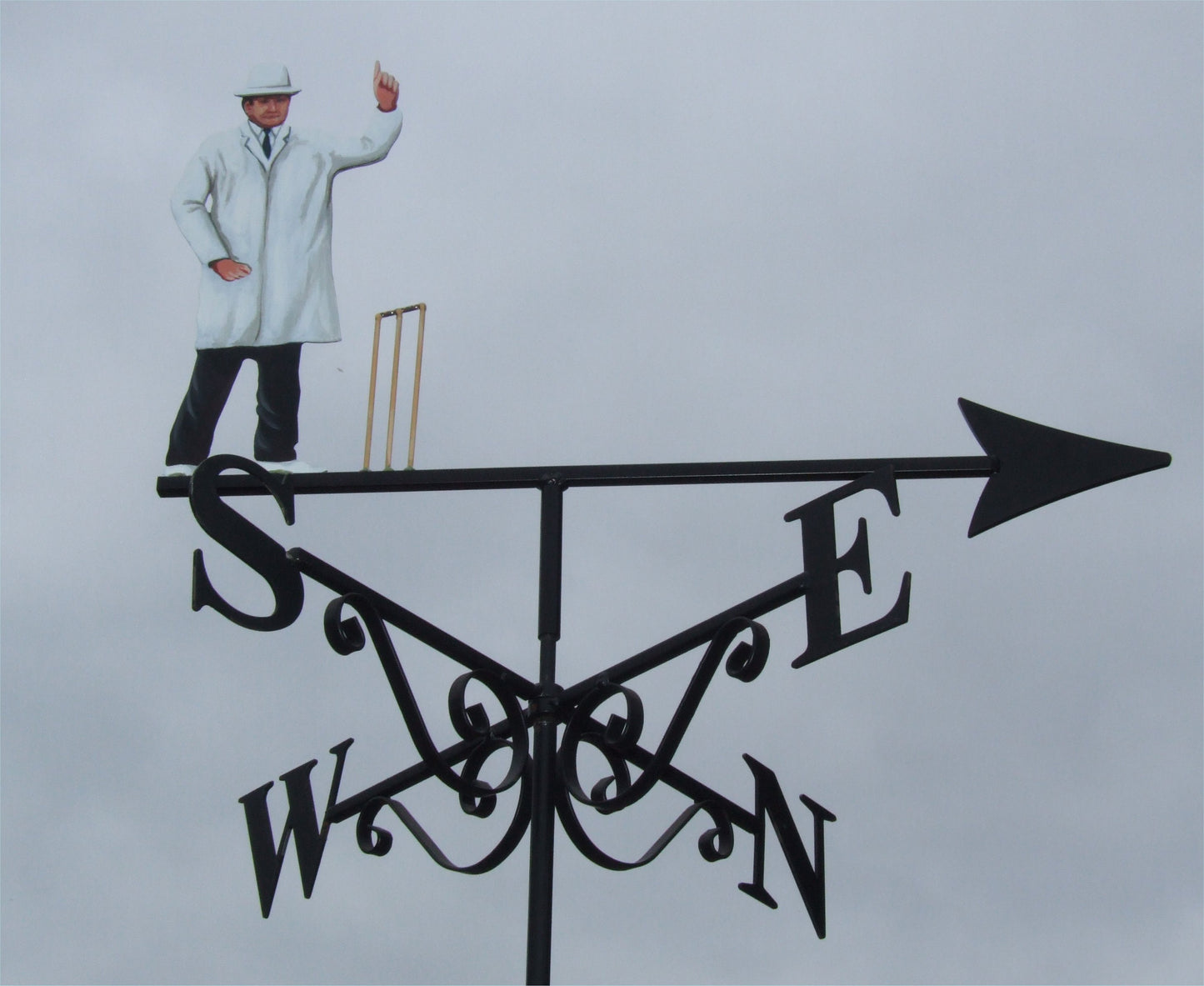 Cricket Umpire Artist Painted