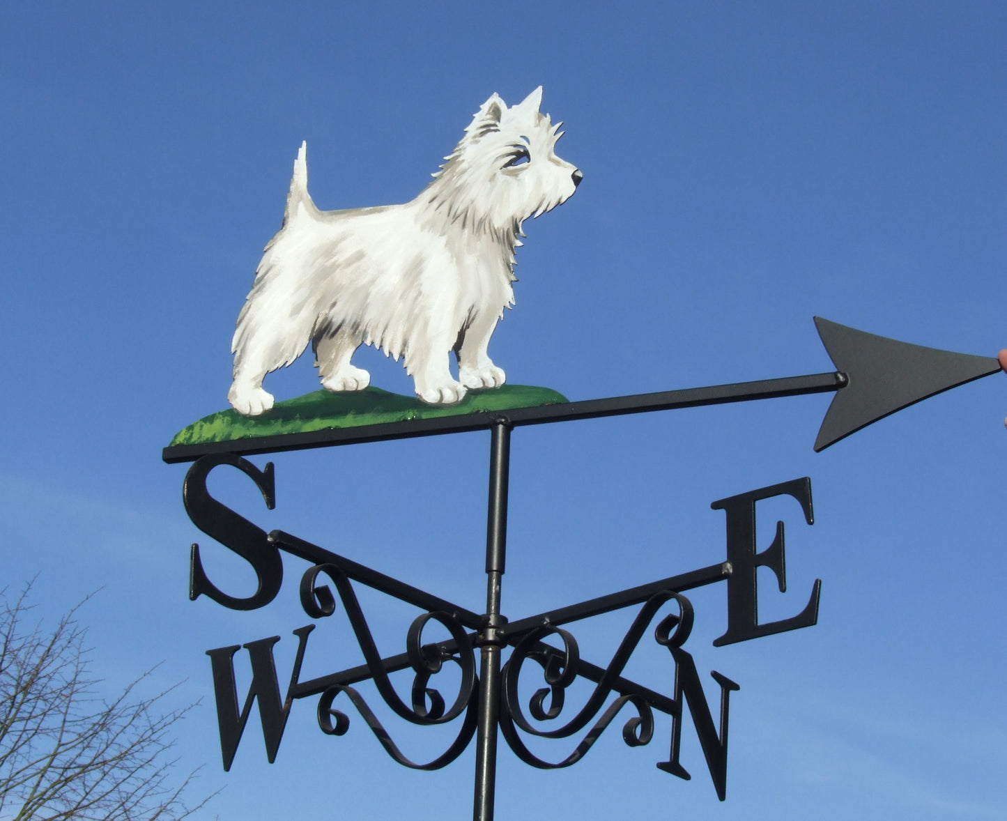 Westie Artist Painted