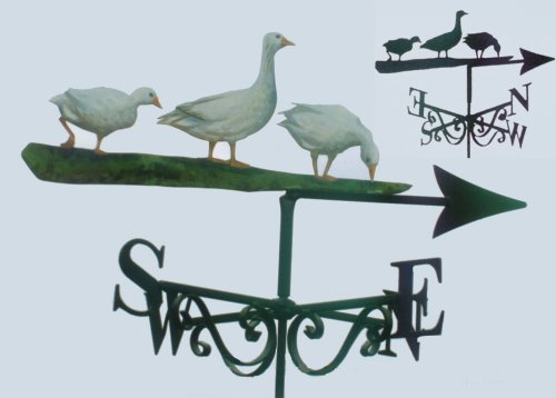 Geese Wild Artist Painted