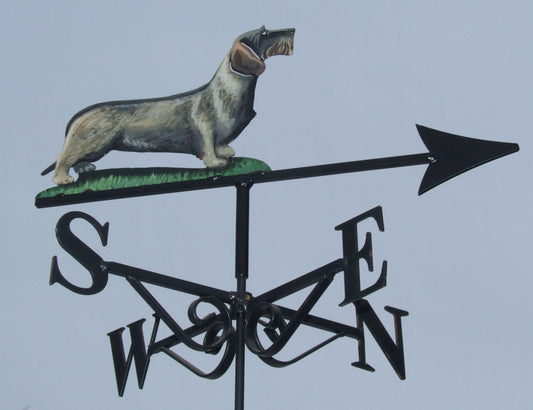 Dachshund Wire Haired Artist Painted