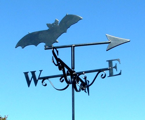 Bat