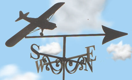 Auster