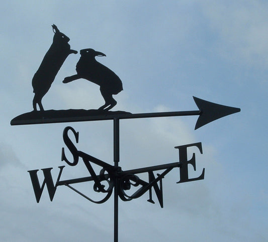 Boxing Hares v2