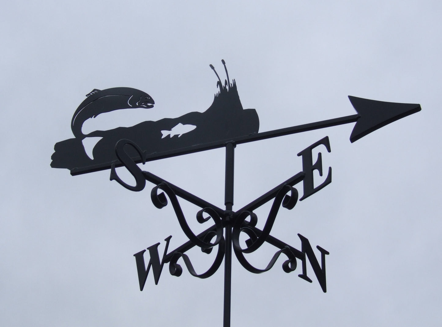 Fish out of water