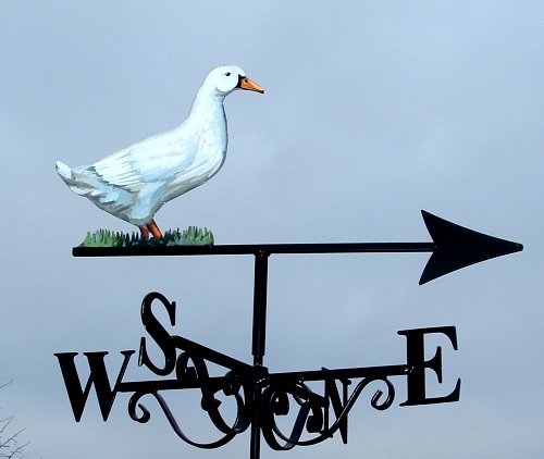 Aylesbury Duck Artist Painted