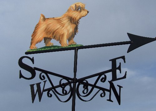 Norfolk Terrier Artist Painted