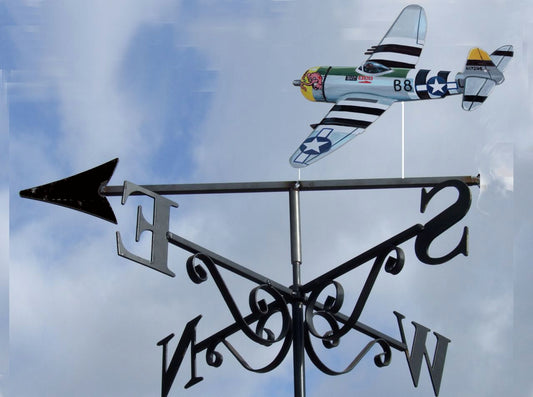 Thunderbolt P47 Artist Painted