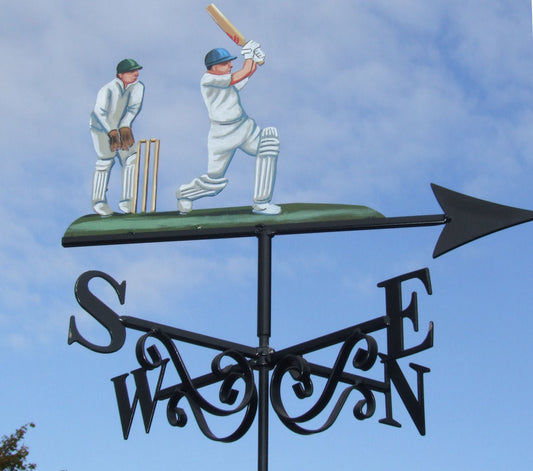Cricket Another Boundary Artist Painted