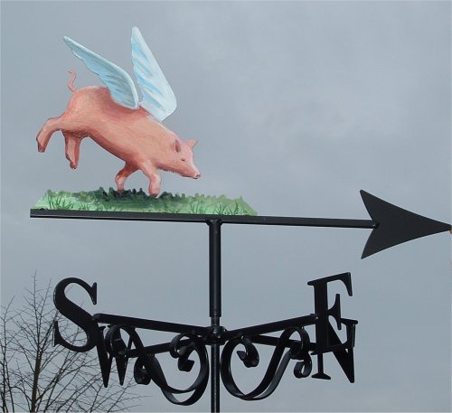 Flying pig hand painted weathervane