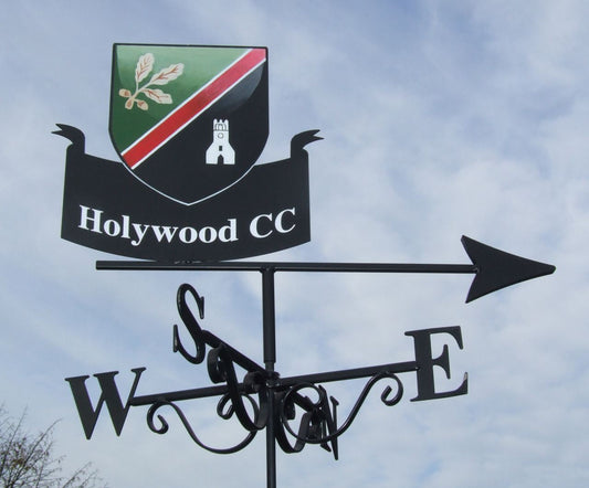 Holywood cricket club weathervane