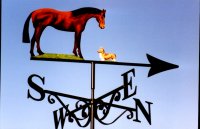 Horse and Corgi Artist Painted