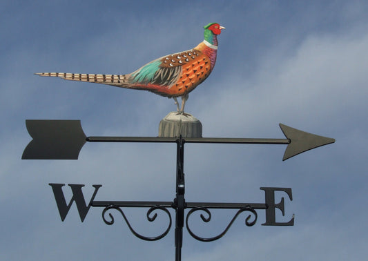 Pheasant on log Artist Painted