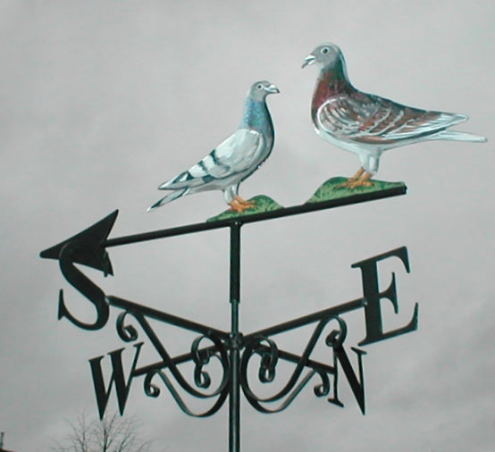 Pigeons Artist Painted