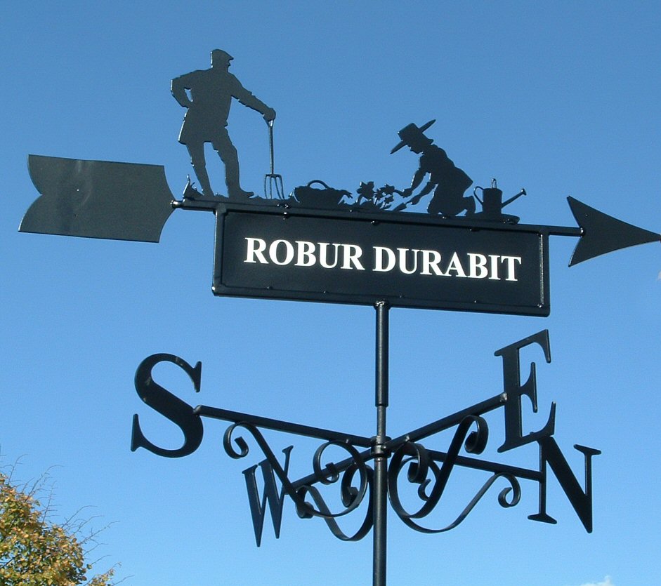 Robur durabit weathervane