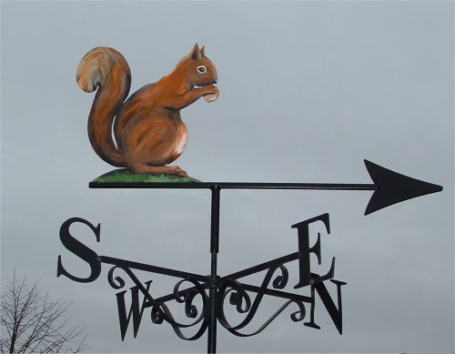 Red Squirrel Artist Painted