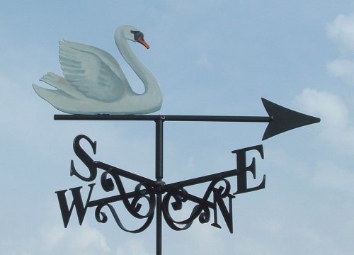 Swan Artist Painted